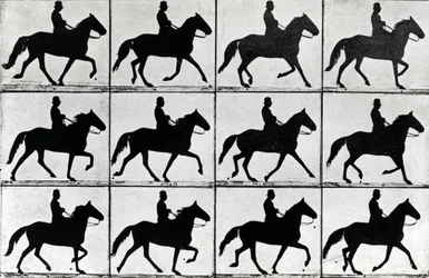 Un pas en onze phases, 1881, illustration de 